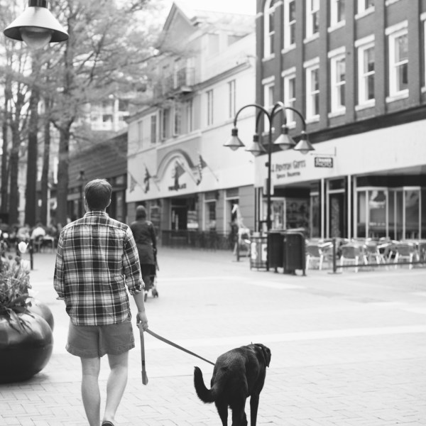 Charlottesville Mall