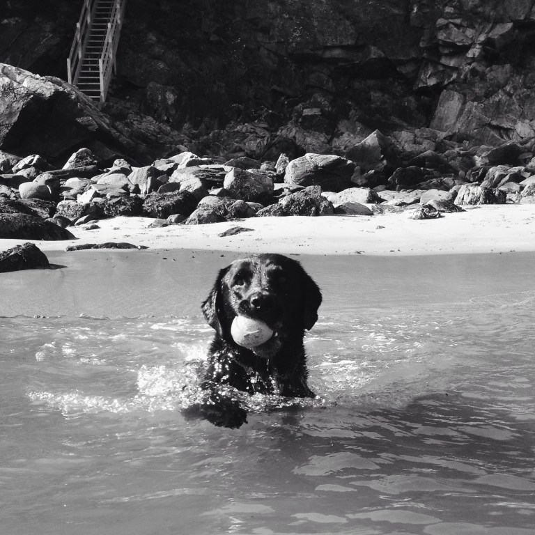 Swimming with Orvis