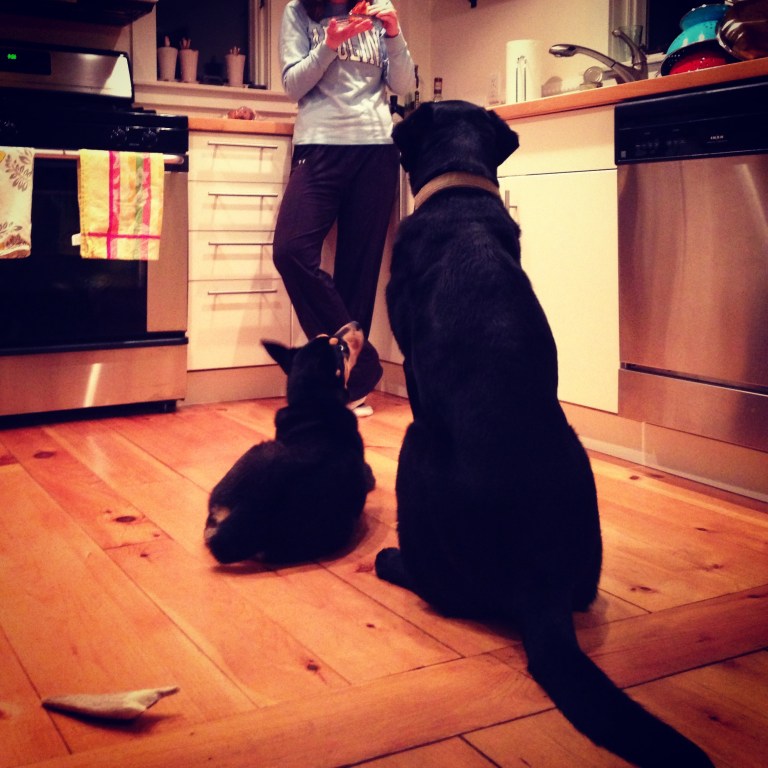 Teaching the Art of Begging