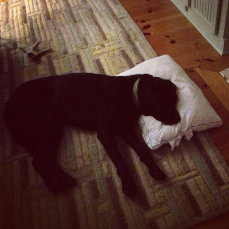 Is that my pillow?
