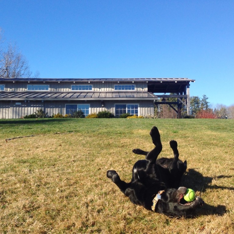 Rolling (Again, again)