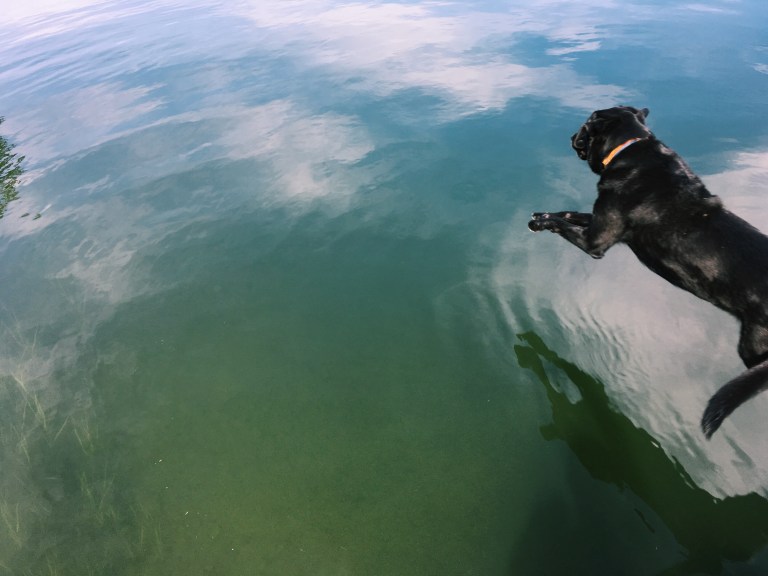 Diving In